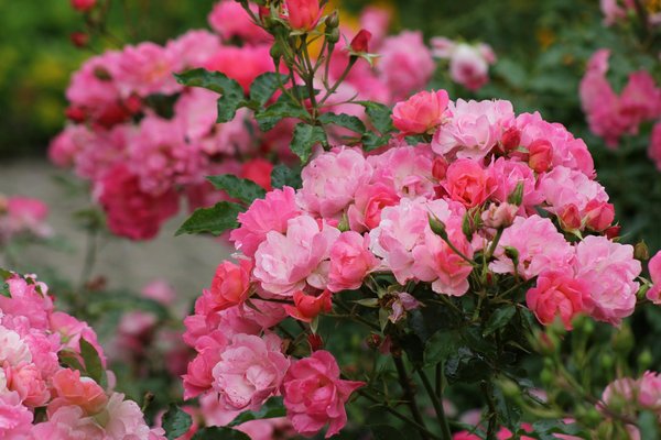 Aménagez votre maison : des travaux pour un futur écoresponsable